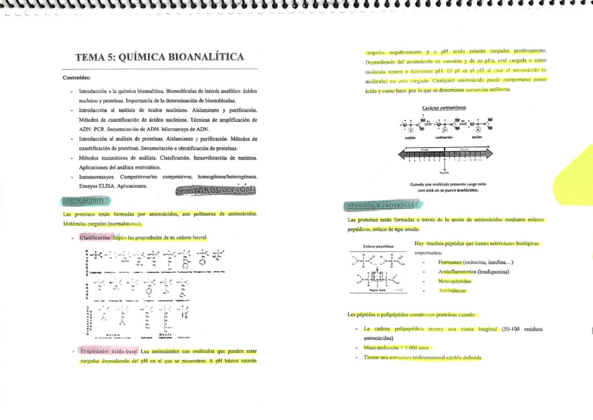 Miniatura del documento Tema-5.pdf