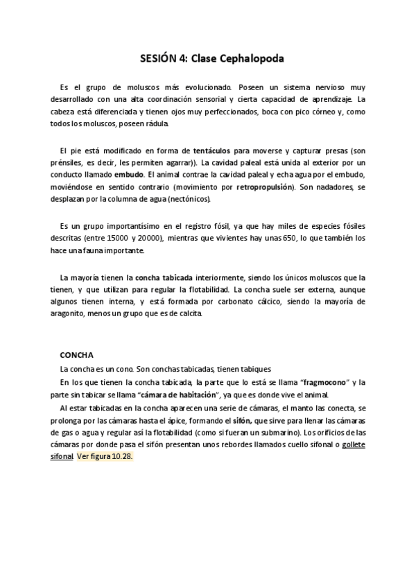 Miniatura del documento Práctica 4. Cephalopoda