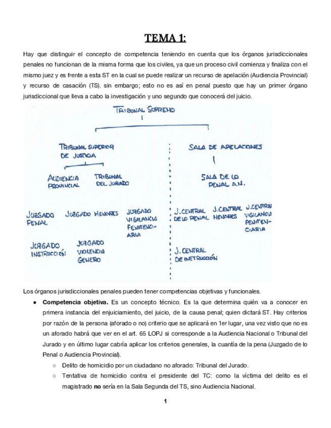 Miniatura del documento TEMAS-PROCESAL-PENAL.pdf