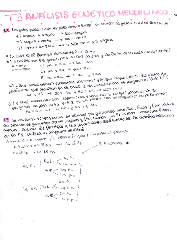Miniatura del documento problemas-T3.pdf