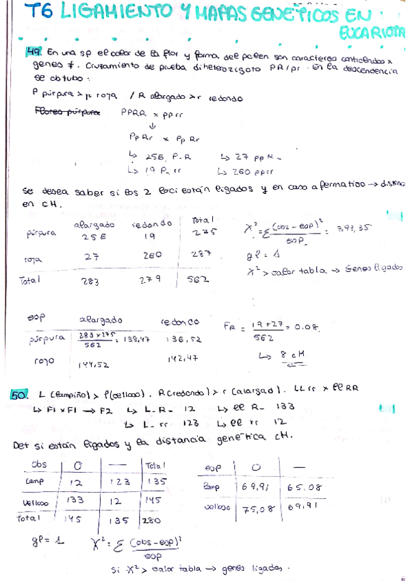 Miniatura del documento problemas-T6.pdf