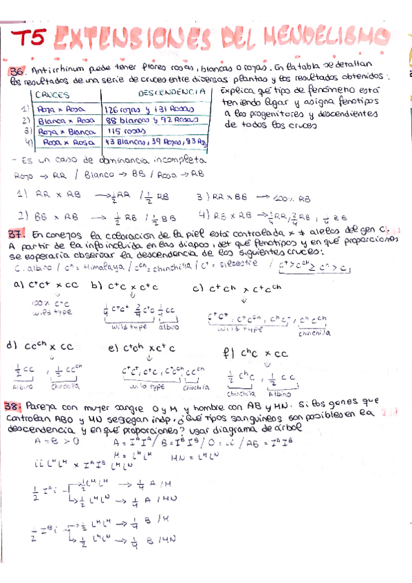 Miniatura del documento problemas-T5.pdf