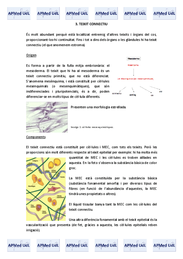 Miniatura del documento 3. Teixit connectiu.pdf