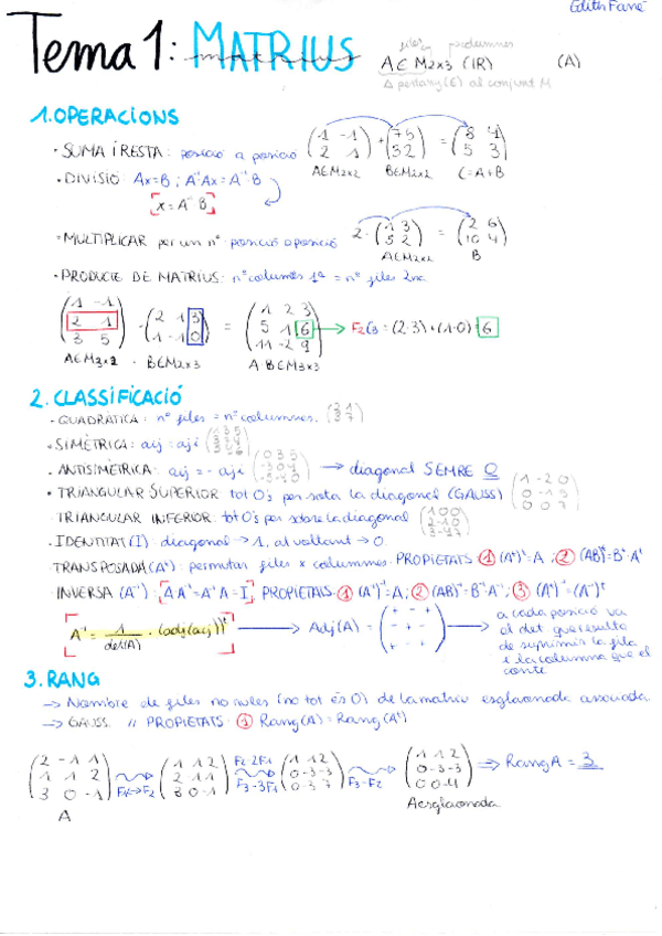 Miniatura del documento matrius.pdf