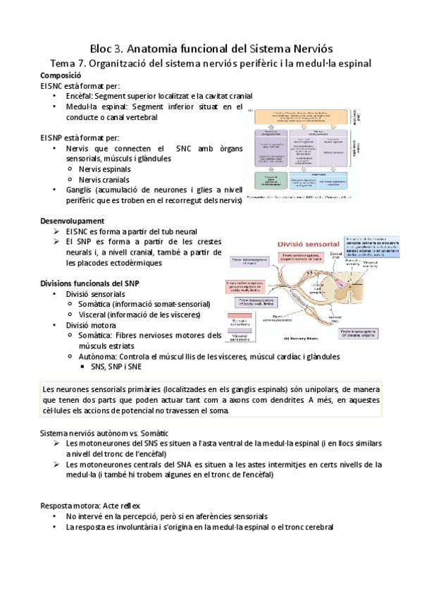 Miniatura del documento Tema-7-i-8.pdf