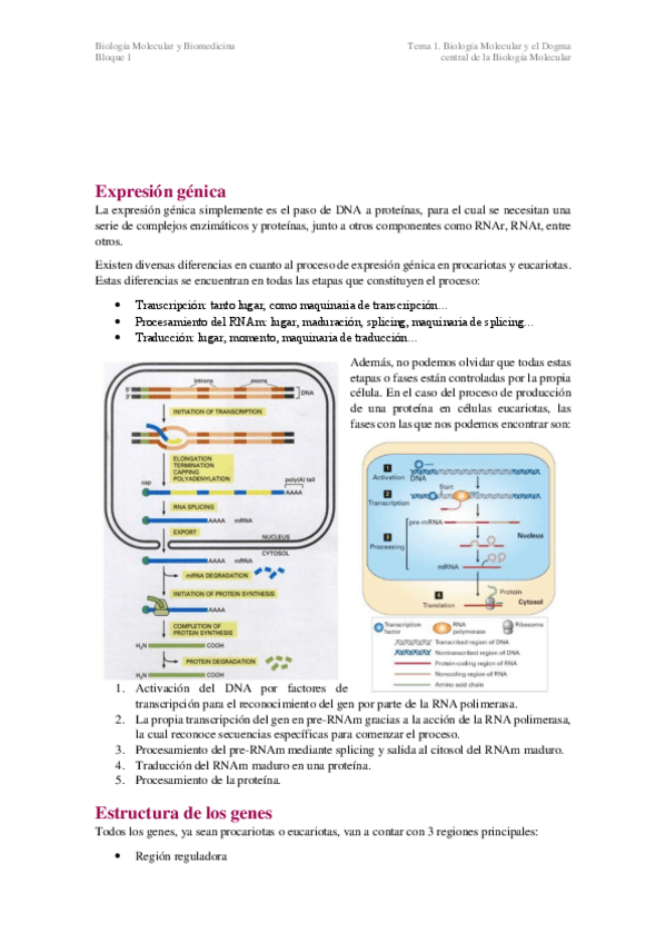 Miniatura del documento T1.pdf