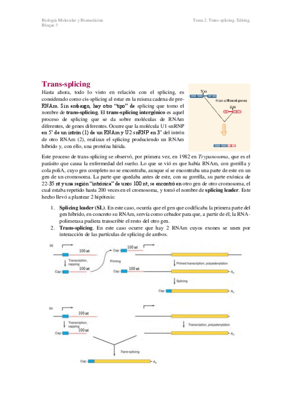 Miniatura del documento T2.pdf