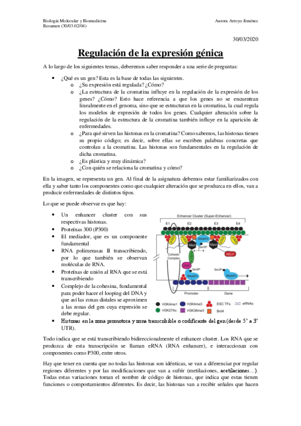 Miniatura del documento Resumen-1.pdf