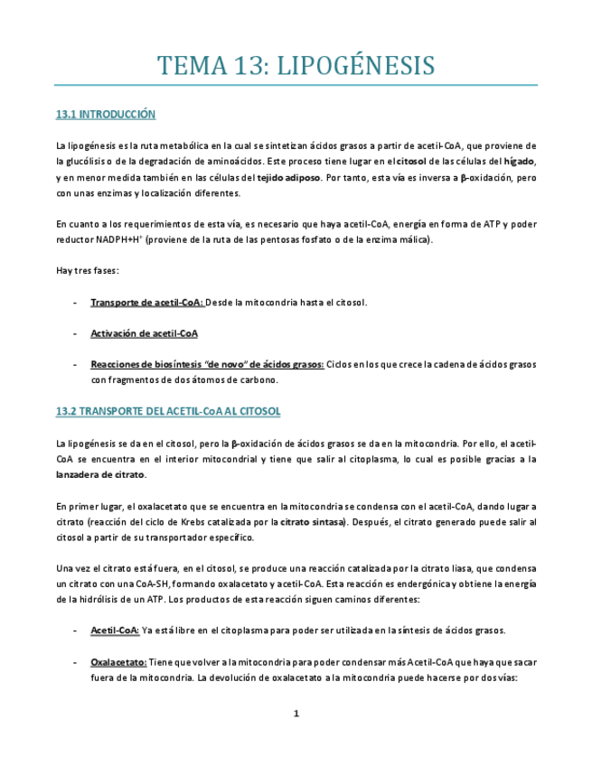 Miniatura del documento TEMA-13-bueno.pdf