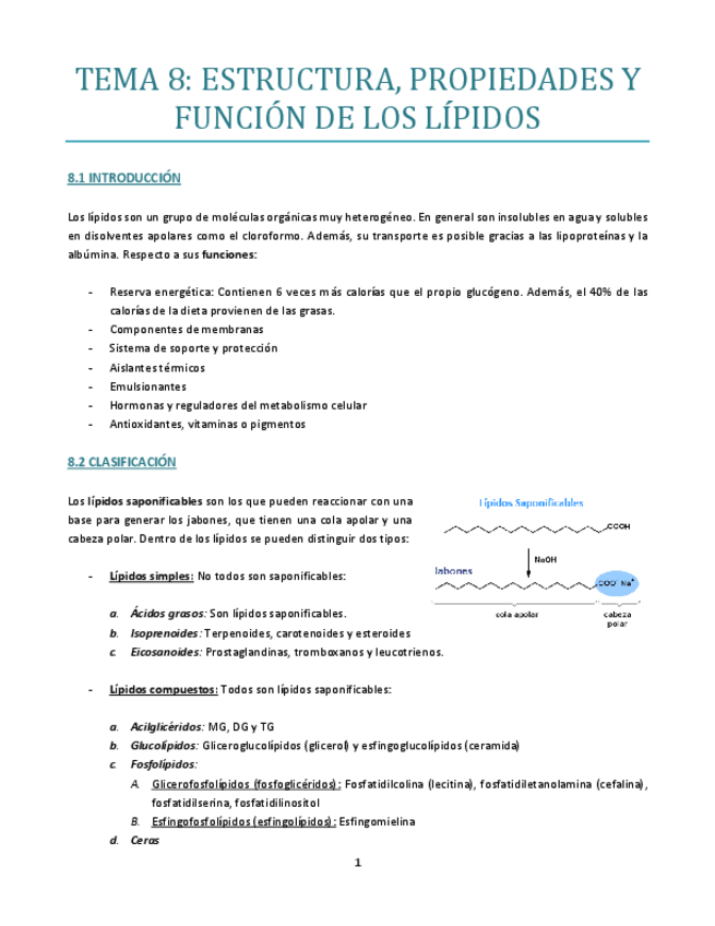 Miniatura del documento TEMA-8-bueno.pdf