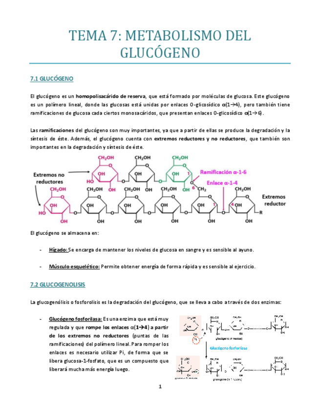 Miniatura del documento TEMA-7-bueno.pdf