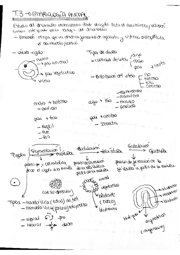 Miniatura del documento zoo3.pdf