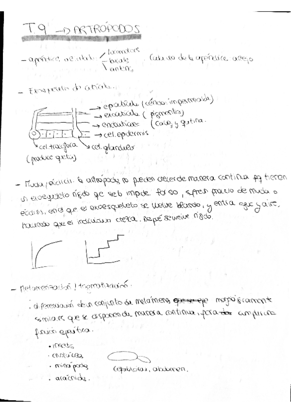 Miniatura del documento zoo9.pdf