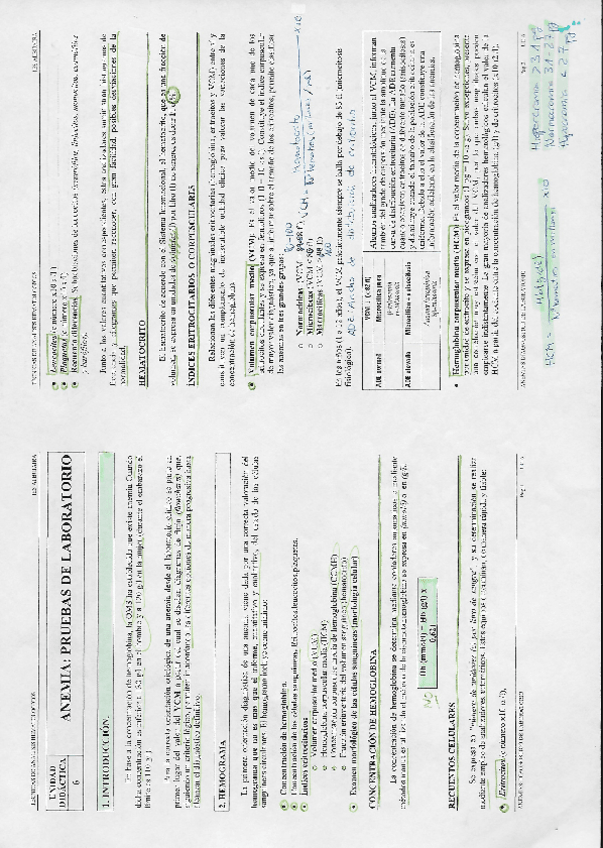 Miniatura del documento T6.pdf