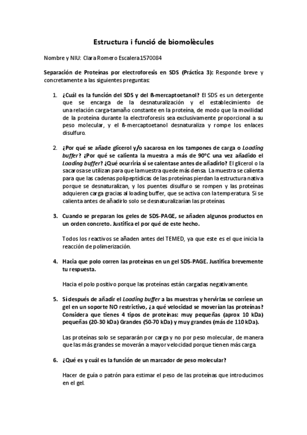 Miniatura del documento PRACTICA-3.pdf