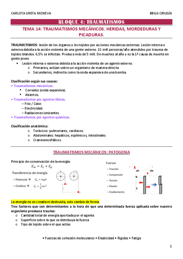 Miniatura del documento apuntesbasescarlota4.pdf