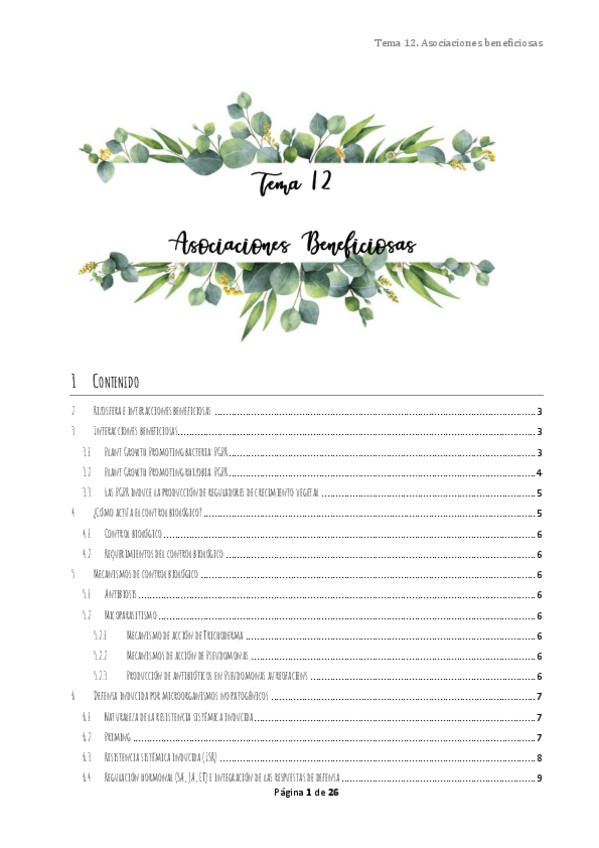 Miniatura del documento BMEPT12.pdf