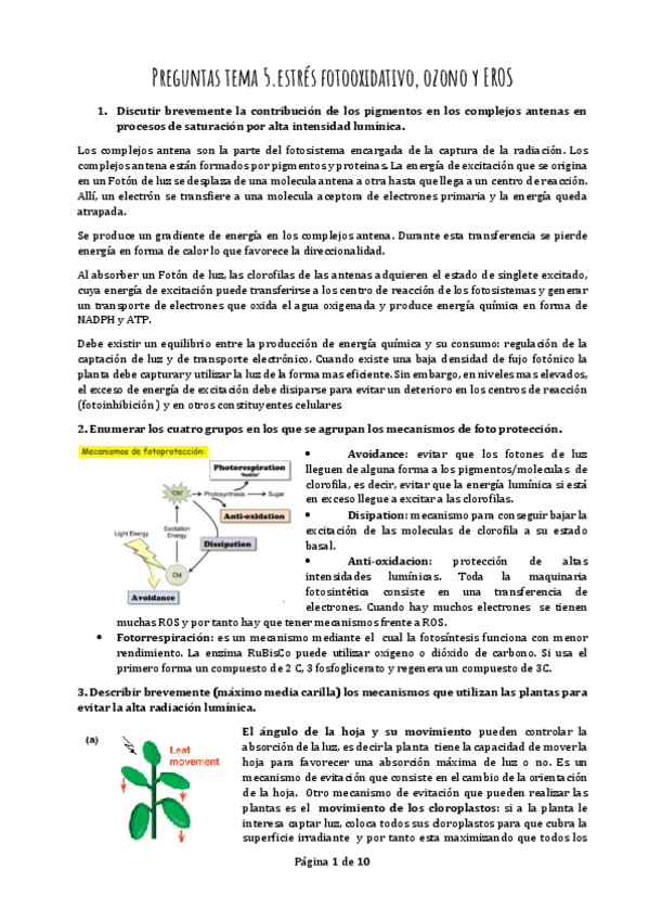 Miniatura del documento BMEP.pdf