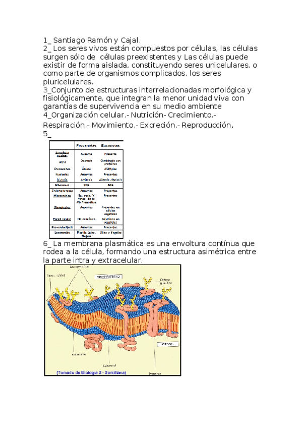 Miniatura del documento respuestas-primer-examen.docx