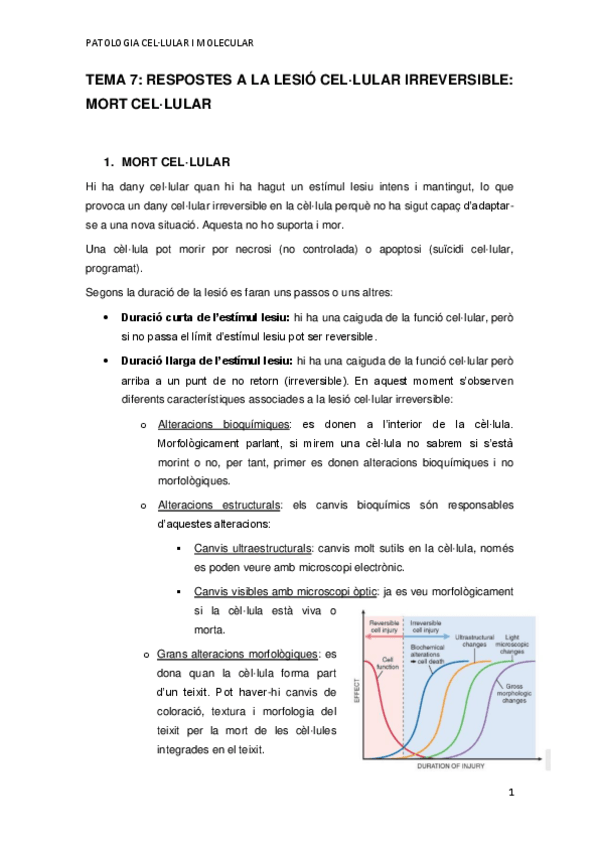 Miniatura del documento TEMA-7.pdf
