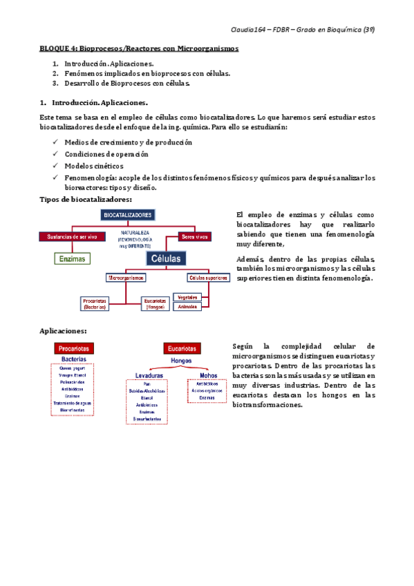 Miniatura del documento BLOQUE-4-Completo.pdf
