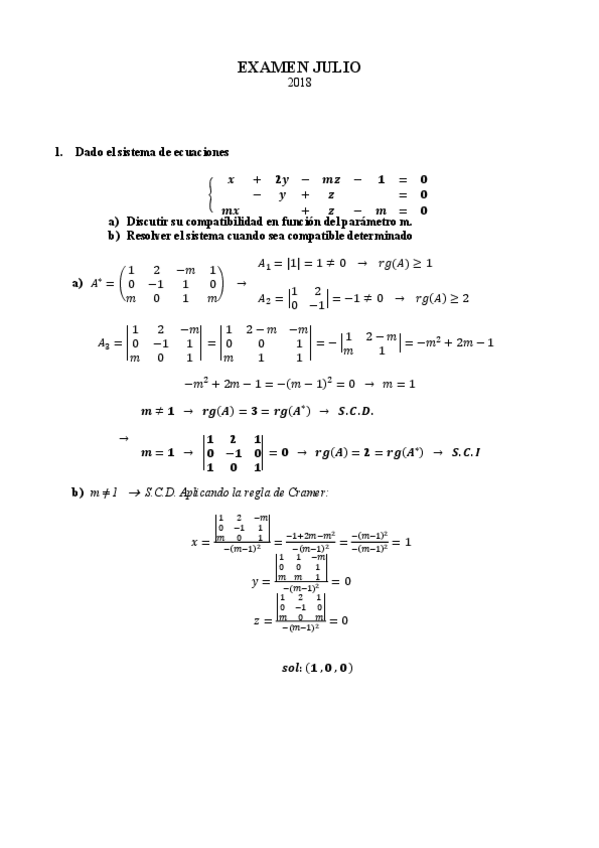 Miniatura del documento 2017-18-ex-julio.pdf