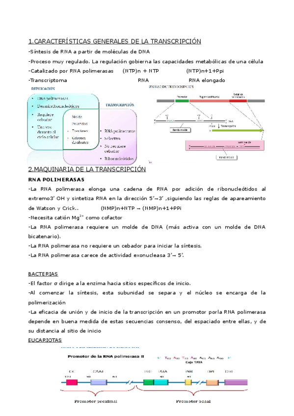 Miniatura del documento tema-9-y-10-bioq.pdf