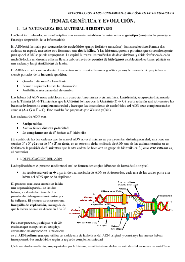 Miniatura del documento TEMA-2.pdf