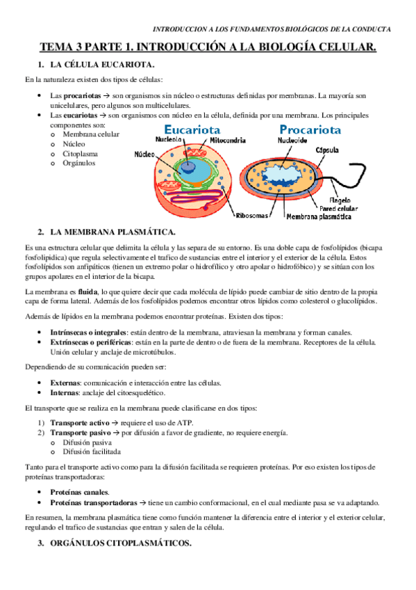 Miniatura del documento TEMA-3-PARTE-1-Y-2.pdf