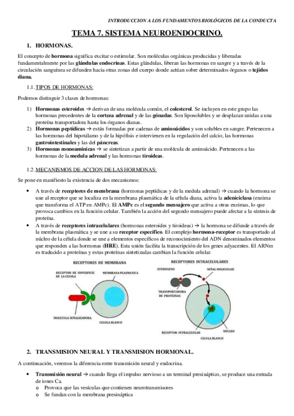 Miniatura del documento TEMA-7.pdf