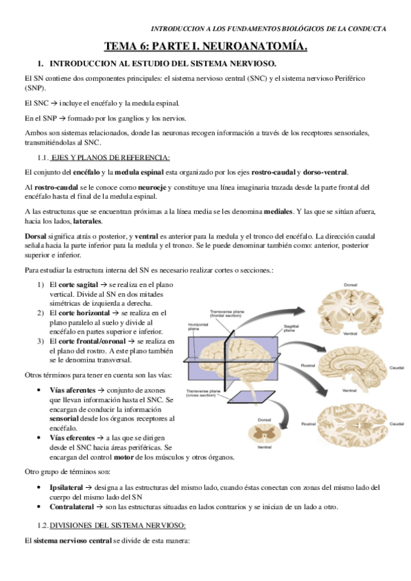 Miniatura del documento TEMA-6.pdf
