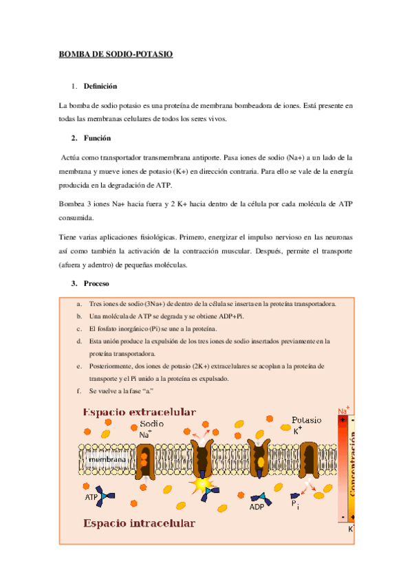 Miniatura del documento BOMBA-DE-SODIO.docx