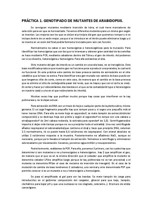 Miniatura del documento Resumen-practicas-para-examen.pdf