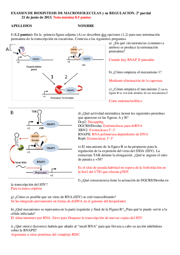 Miniatura del documento examen-2-parcial-de-biosintesis.pdf