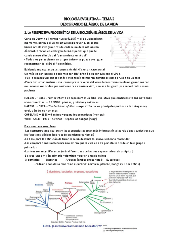 Miniatura del documento T-2.pdf