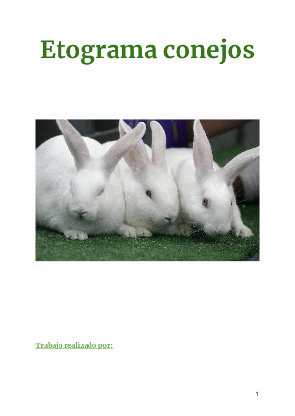 Miniatura del documento Etograma-conejos-.pdf