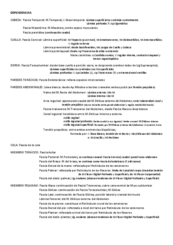 Miniatura del documento DependenciasyArterias.pdf