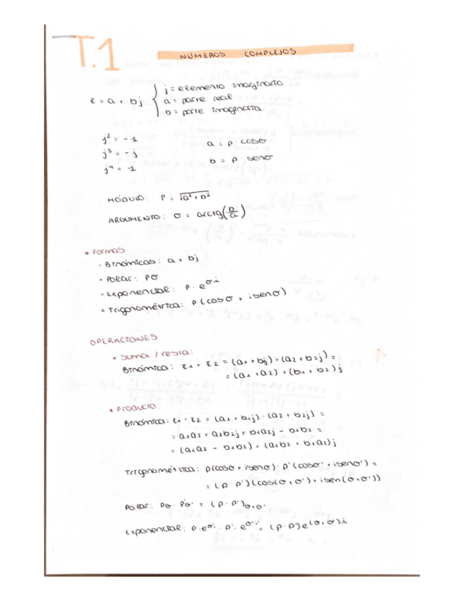 Miniatura del documento TEMA-123.pdf