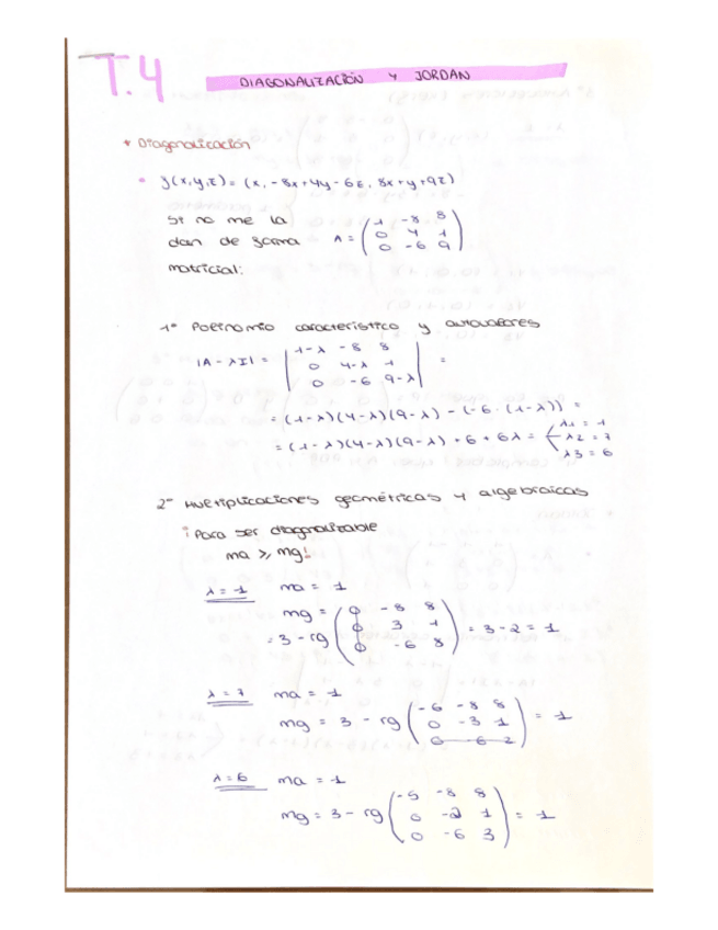 Miniatura del documento TEMA-4.pdf