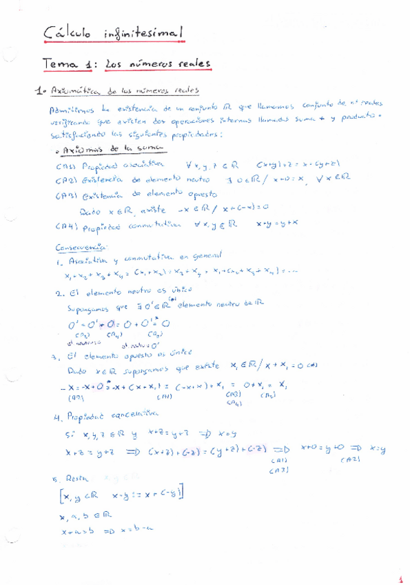 Miniatura del documento CIMisApuntes1.pdf