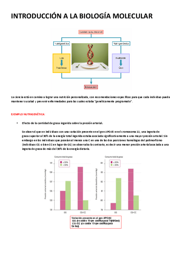Miniatura del documento TEMA 10.pdf