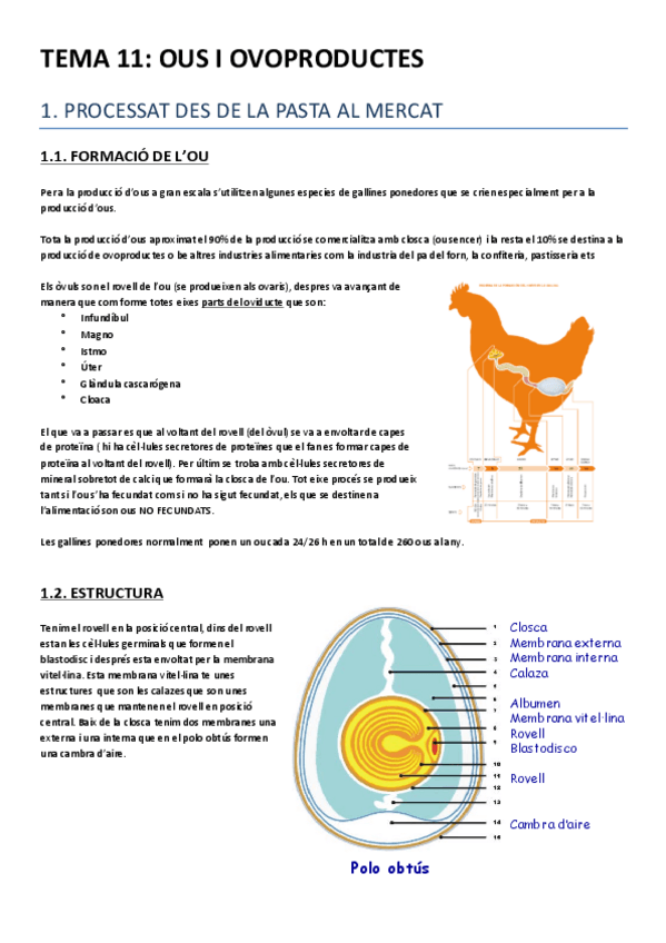 Miniatura del documento TEMA 11.pdf