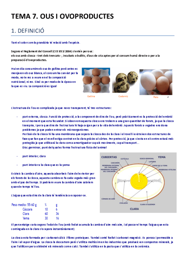 Miniatura del documento TEMA 7.pdf