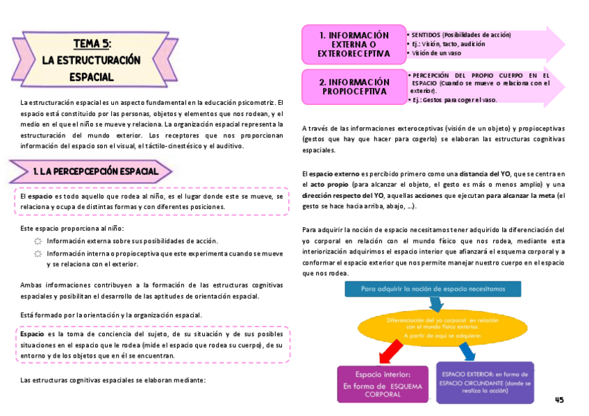 Miniatura del documento Tema-5-psicomotricidad.pdf