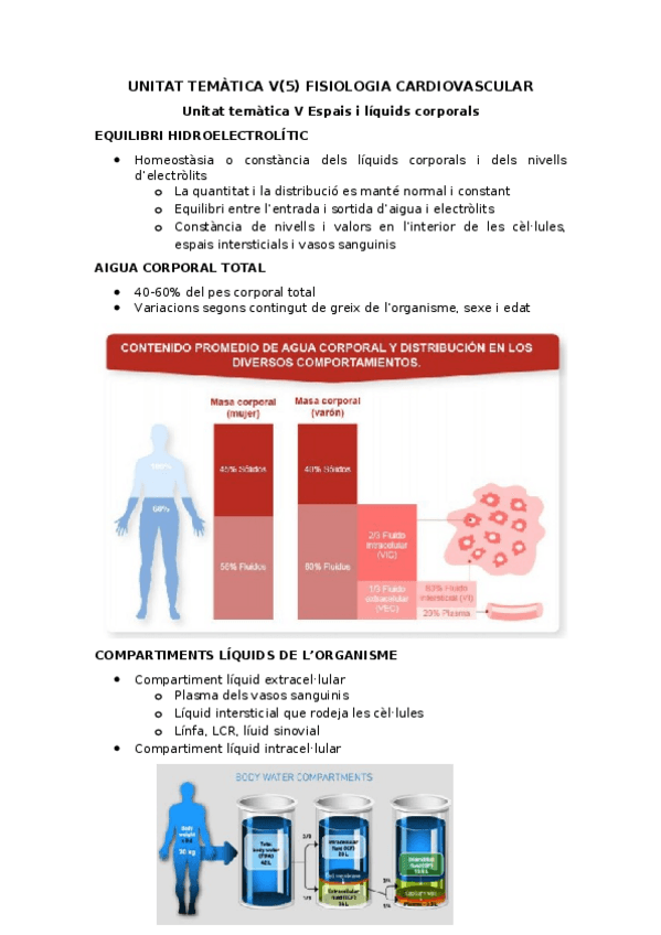 Miniatura del documento UNITAT-TEMATICA-V-5-FISIOLOGIA-CARDIOVASCULAR.docx