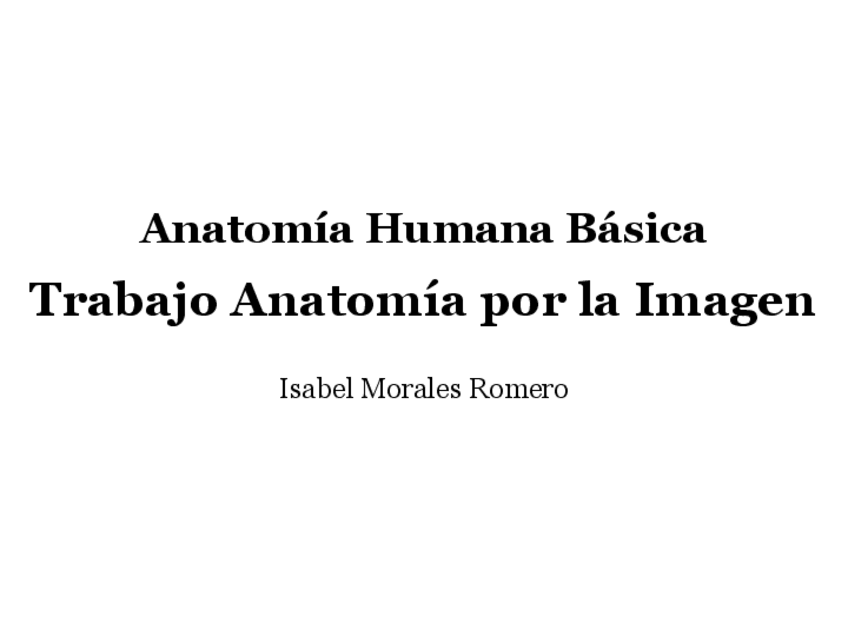 Miniatura del documento Trabajo-anatomia-por-la-imagen.pdf