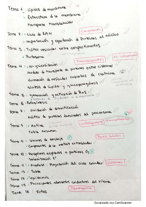 Miniatura del documento indice.pdf