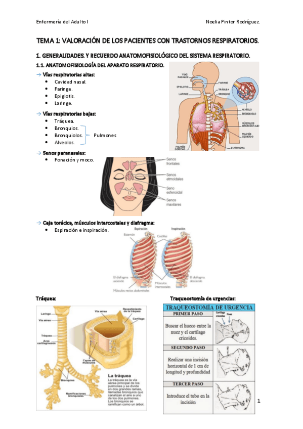 Miniatura del documento Tema-1.pdf