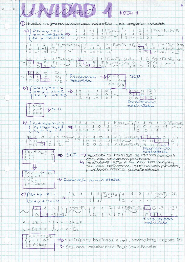 Miniatura del documento Ejercicios-algebra-lineal.pdf