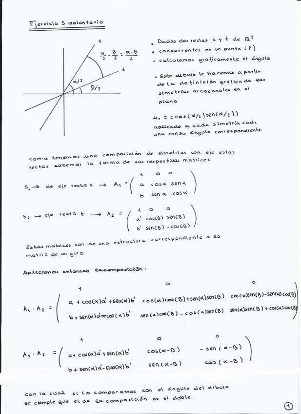 Miniatura del documento Trabajo-Voluntario-Movimientos.pdf